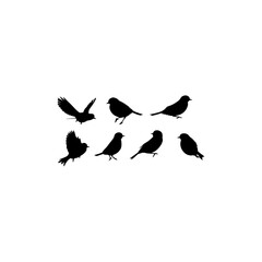 Obraz premium Flying birds silhouette on white background. Vector set of flock of swallows sign. 