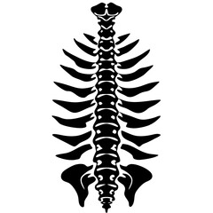 Spine Silhouette Vector