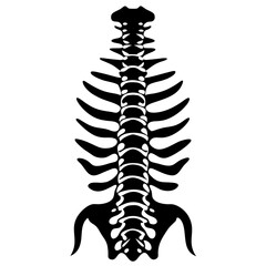 Spine Silhouette Vector