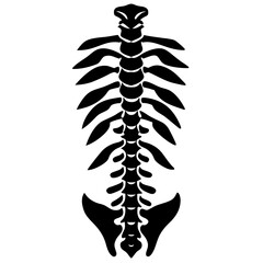 Spine Silhouette Vector