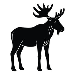 Obraz premium Adobe Illustrator ArtwVintage engrave isolated moose set illustration ink sketch. Wild elk background deer vector artork