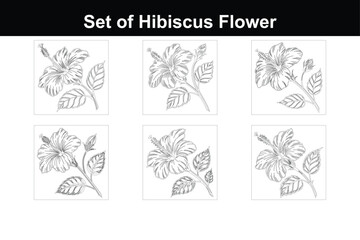 Minimalist Hibiscus Flower Line Drawing