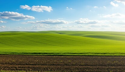 Obraz premium Rolling green hills meet a clear blue sky in this serene landscape.