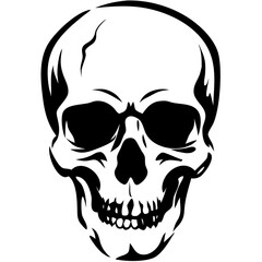 a detailed monochrome illustration of a human skull, showcasing the intricate bone structure and empty eye sockets, symbolizing mortality and the human form