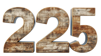 Wooden Number 225