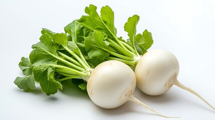 fresh radish isolated on white
