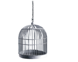 Artistic rendition showcasing an empty birdcage suspended from a chain, seemingly swaying with an implied presence, evoking feelings of emptiness, absence, and perhaps a touch of mystery