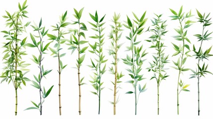 Naklejka premium Green bamboo branches on white background 