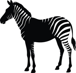 Obraz premium Black and white zebra silhouette, ideal for logos, branding, and wildlife-themed digital art.