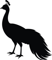 Fototapeta premium Black and white peacock silhouette, ideal for logos, branding, and wildlife-themed digital art.