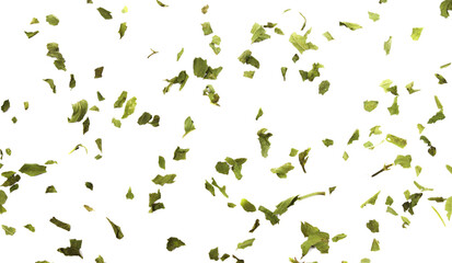 Fresh, green mint leaves on a white background