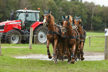 Competition of horse teams pulling carts in an open field alongside a tractor at agricultural event in autumn