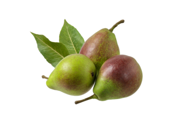Three ripe green red pear  fruits with leafves flying  isolated on white background. Fresh harvesting whole pear variety Qtee.