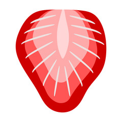strawberry half vector