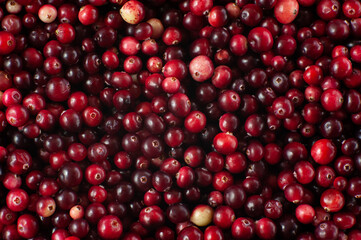 Cranberry. Small forest red berry. A scattering of cranberries. Vitamins from nature