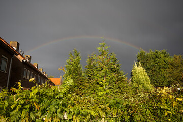 Rainbow arcs over houses after rainfall in a peaceful suburb filled with lush greenery