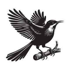 eagle on a white background