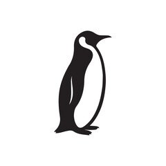 penguin isolated on white silhouette