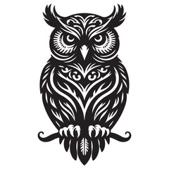 owl on a white background