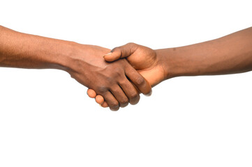 A firm handshake between two individuals, symbolizing trust, agreement, and partnership. This gesture represents unity, professionalism, and mutual respect in business, personal relationships, and col