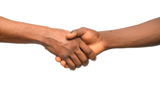 A firm handshake between two individuals, symbolizing trust, agreement, and partnership. This gesture represents unity, professionalism, and mutual respect in business, personal relationships, and col