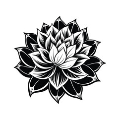 black and white lotus