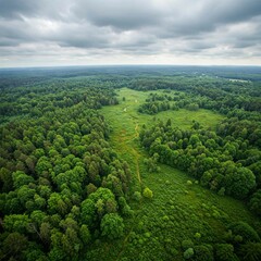 landscape with trees and clouds