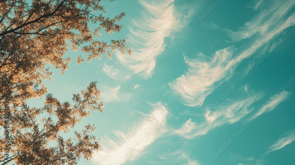 Poster minimalist sky background with wispy clouds and delicate tree branches, creating a peaceful nature-i