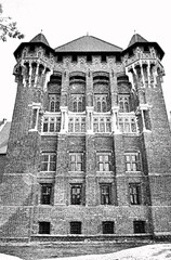 Dettaglio facciata castello di Malbork