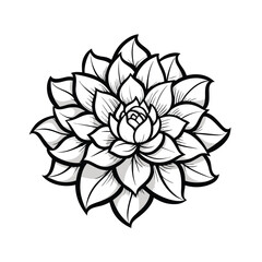 vector illustration of lotus flower