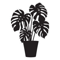 Monstera deliciosa plant in pot silhouette vector Black, potted plant vector silhouette vector. with white background © firoz