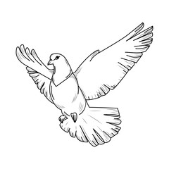 Line art of a flying dove bird with wings spread, ideal for peace symbols, tattoo designs, logos, religious content, and decorative art.Sketch Style Flying Dove Symbol of Peace.Vector illustration