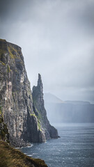 Tr&oslash;llkonufingur