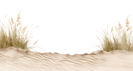 PNG Sandy beach landscape scenery nature.