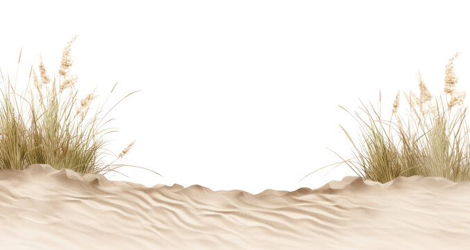 PNG Sandy beach landscape scenery nature.