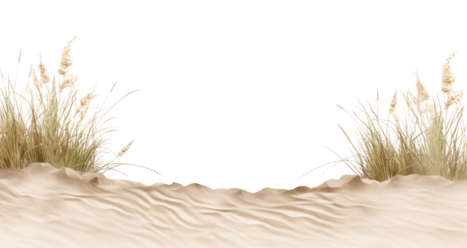 PNG Sandy beach landscape scenery nature. - Powered by Adobe