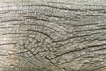 The image shows a weathered wooden texture with a dark brown color and visible cracks. The texture is suitable for use as a background or as an element in a design project.