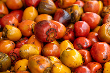 Close-up of fresh chontaduros, the fruits of the chontaduro palm. These oval-shaped fruits have a vibrant orange-yellow color that highlights their natural tones. Whole chontaduros.