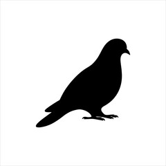 Fototapeta premium Pigeon Silhouette icon vector flat design.