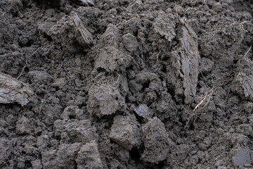 Soil texture in agricultural field. Digging with shovel. Selective focus.