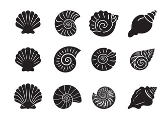 Elegant seashell vector illustration for beach-themed designs and decor