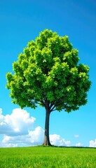 Fototapeta premium Tree against a clear blue sky with fluffy white clouds, sky, tree