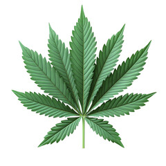 Vibrant Cannabis Leaf png isolated on transparent background