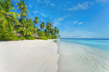 Palm trees and clean, transparent turquoise water on the Beautiful maldives tropical island