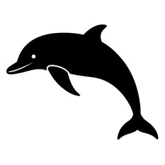 dolphin isolated on white