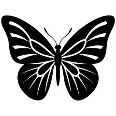 butterfly vector illustration