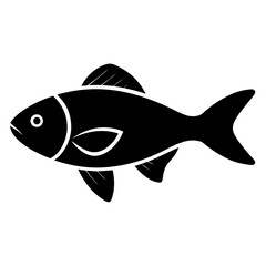 fish vector illustration