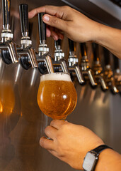 Barman sirviendo una pinta de cerveza en un Tap room