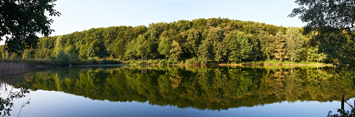 Tranquil lake reflects a lush green forest under a clear blue sky
