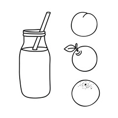Apple, peach or orange Smoothie or Detox Cocktail in the bottle with straw. Healthy Drink Vector illustration in Doodle style isolated on a background. Black and white outline drawing. Ideal for